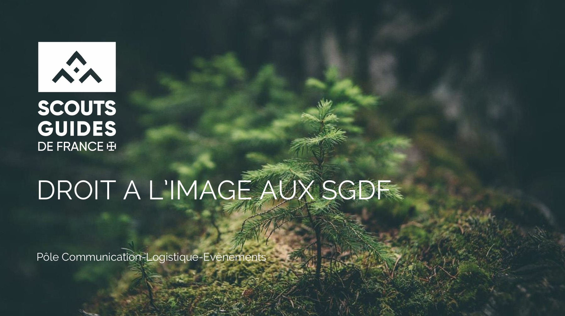 Droit à l&rsquo;image